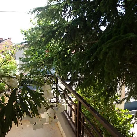 T&d Sveti Vlas